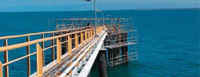 Qsl Lucinda Berthing Dolphin 1